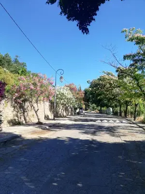 Plan de l'établissement Côte Est Pancheraccia Chambre Petit déjeuner