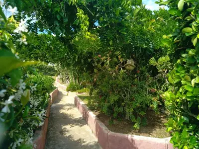 Jardin de l'établissement Le Râteau Bavoir
