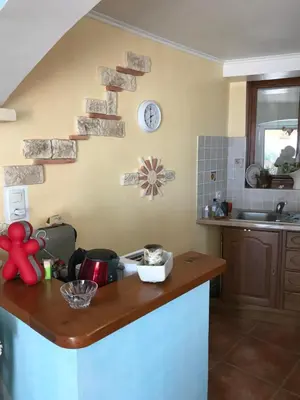Cuisine ou kitchenette dans l'établissement Studio de 39 m2