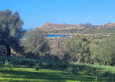 Paysage naturel près de l'appartement