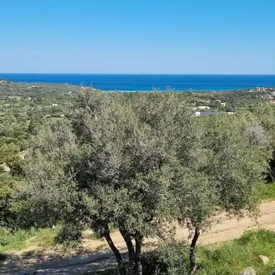 Charmant petit logement à 3 kms de la plage