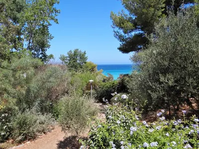 Paysage naturel près de l'appartement