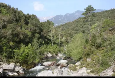 Paysage naturel près de la maison de vacances