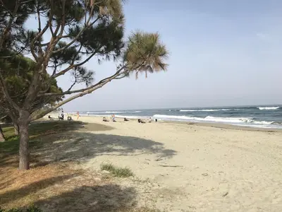 Plan de l'établissement Un vrai petit bonheur en bord de mer - 6 pers.