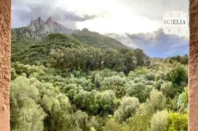 Paysage naturel près de l'appartement