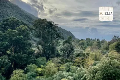 Paysage naturel près de l'appartement