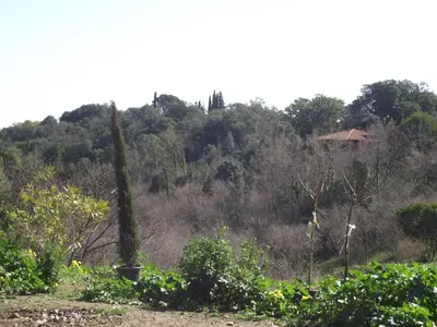 Paysage naturel près de la maison de vacances