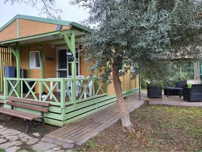 Jardin de l'établissement Chalet climatisé avec patio en Haute Corse 5 couchages