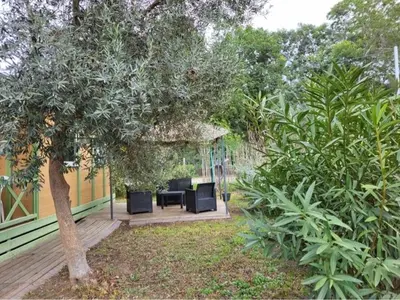 Jardin de l'établissement Chalet climatisé avec patio en Haute Corse 5 couchages