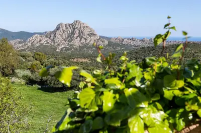 Paysage naturel près de l'appartement