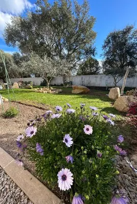 Jardin de l'établissement Mini Villa Pascal Paoli avec piscine - proche mer