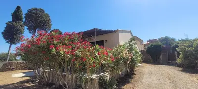 Jardin de l'établissement Casarella Alzia