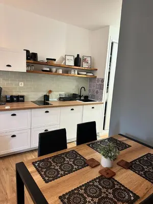 Cuisine ou kitchenette dans l'établissement Studio pied dans l'eau - WIFI- Piscine
