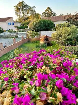 Jardin de l'établissement HAUT VILLA MESANGES EN BORD DE MER !