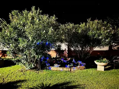 Jardin de l'établissement HAUT VILLA MESANGES EN BORD DE MER !