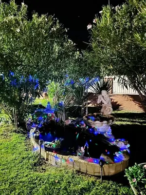 Jardin de l'établissement HAUT VILLA MESANGES EN BORD DE MER !