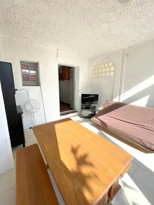 Télévision ou salle de divertissement dans l'établissement Studio cosy à Linguizzetta 32 m² avec terrasse privée