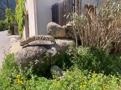 Animaux dans l'appartement ou à proximité