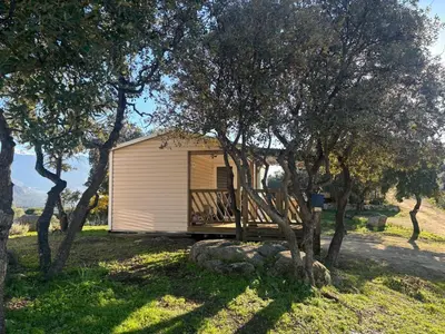 Jardin de l'établissement CAMPING MONTE ORTU